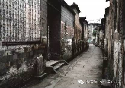 三、 生肖星座视角下人物行为动机解析