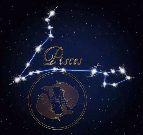 （1）贪狼星：较高标准审美与整形倾向