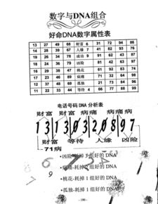 风水号1349具体代表什么含义？