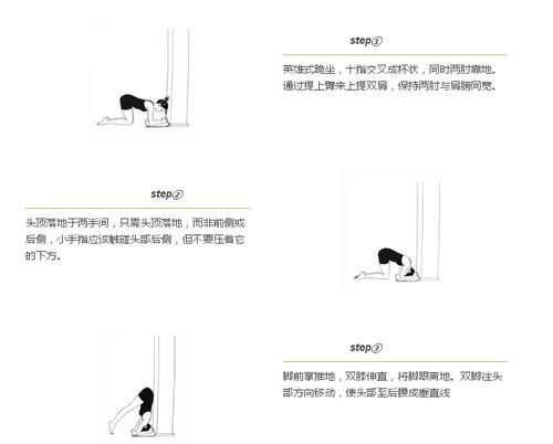 四、  反馈机制与社会周边环境支持：个体化路径的群体性协同