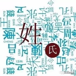 姓氏的考量：稀有与韵味
