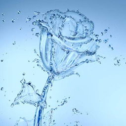 水命人起名时，取带有水字的名字是否合适？