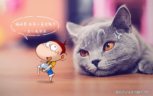 三、 《夜半鬼语》的回响：传说中的幽冥生物