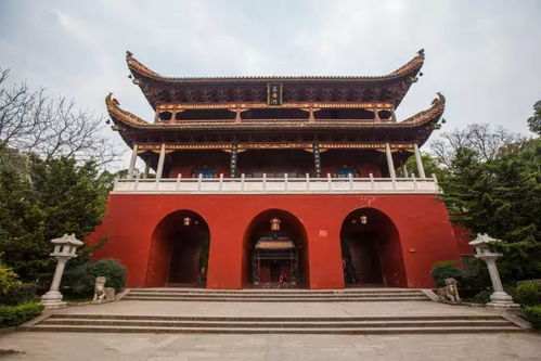 科学视角的理性分析