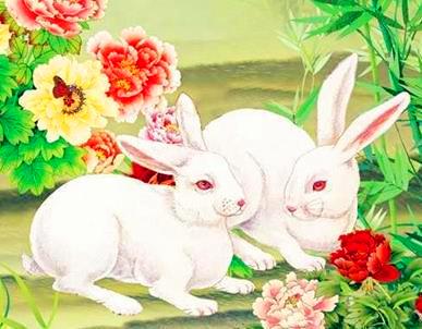 属兔人2026年桃花手机号如何改写才能吸引桃花？