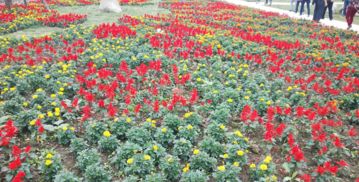 天府牡丹园门票优惠套餐，真的值吗？