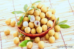 处暑节气之概念界定及其在二十四节气体系中的位置