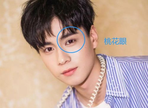 1. 桃花眼的分类：细致辨析不同类型