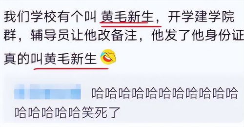 “舟”字的含义与象征