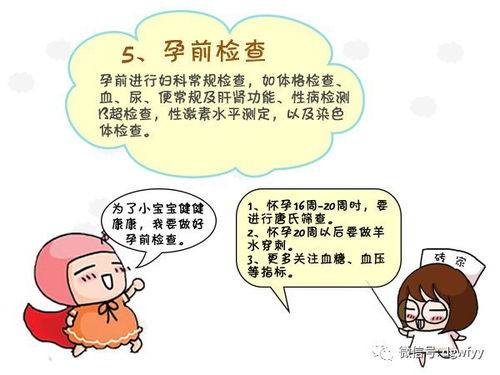 二、 科学备孕：多维度的规划与准备