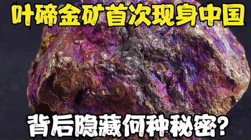 免费算命查询入口‘家有金矿’背后隐藏着什么神秘秘密？