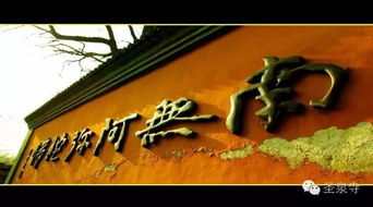 1. 植物风水在能量场优化中的应用