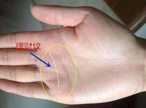 手相中凤尾纹是什么意思？详细说明一下？