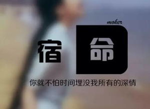 生肖星座：你的专属符号 (虽然有点扯淡)