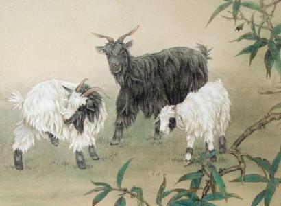 属羊2026年财运如何，特别是偏财运会有哪些表现？