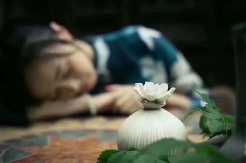 6. 蛇（机智灵巧）