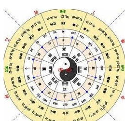 双庚双丁八字天干中，庚金争合乙木的命理含义究竟有何特殊之处？