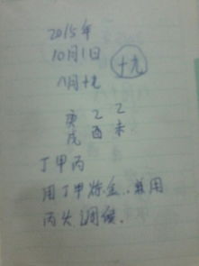 提议取名