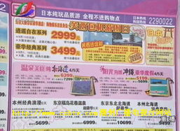 滨城旅游团的基本构成