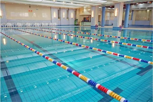 四、 定制化觉得嫩：我的独家秘方! （听我的准没错！）