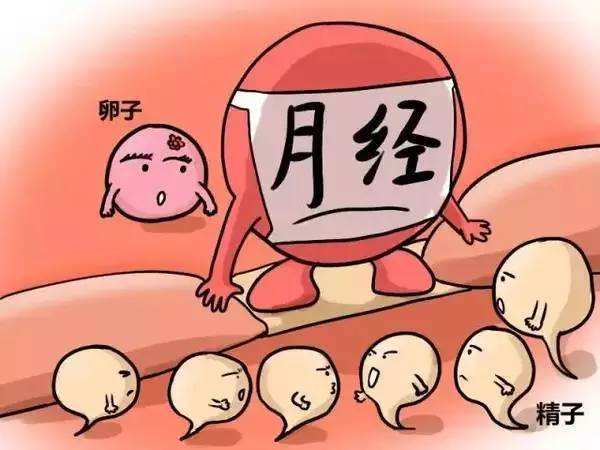 噪音与杂乱：为了让文章更生动