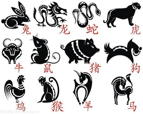 研究背景与方法论