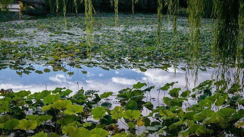 第一节：金水相生的风水格局与环境磁场
