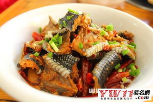 周公解梦：梦见吃蛇肉却不敢吃，这预示着什么含义？