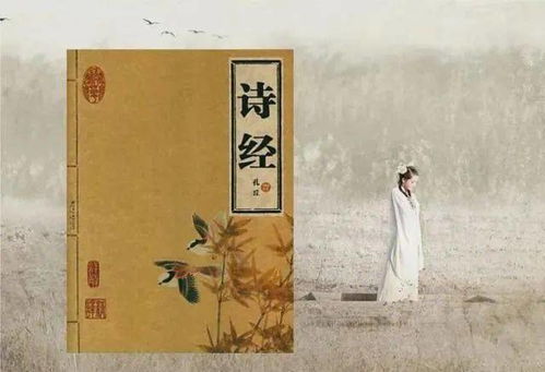 三、强行拆解与乱入