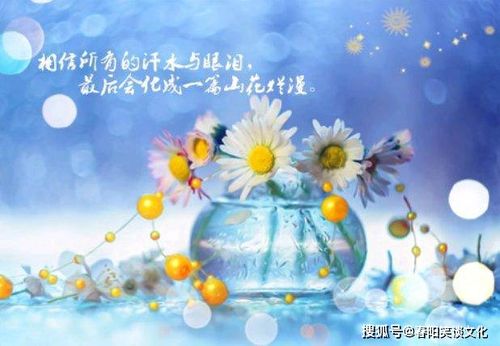 水瓶座：创新奇思的未来视野