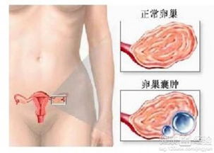 #错误认知 #— 迷信与科学研究之间的鸿沟