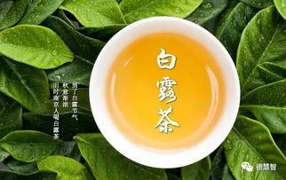 三、白露节气的风俗习惯