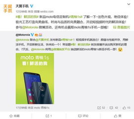 中年女性选手机号时，有没有什么特别推荐的号码类型？