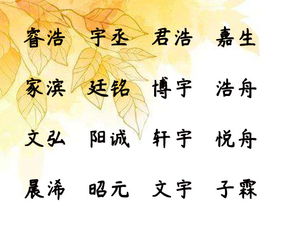 第一招：用金钱符号炫富（鼠年最爱的）