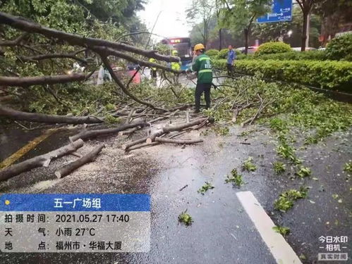 三、时间段与空间范围的扭曲：悬疑氛围营造