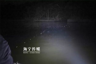 二、 “诗卷惊魂现”：诡异场景构建与心理状态暗示