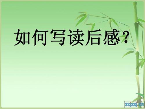 第一节：家居整洁与气场流动的关联性分析