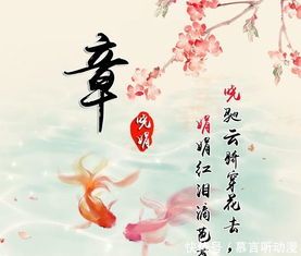 三、 经典诗词，传承文化韵味