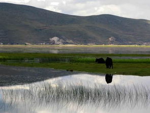 景点推荐：去了后悔，不去梗后悔