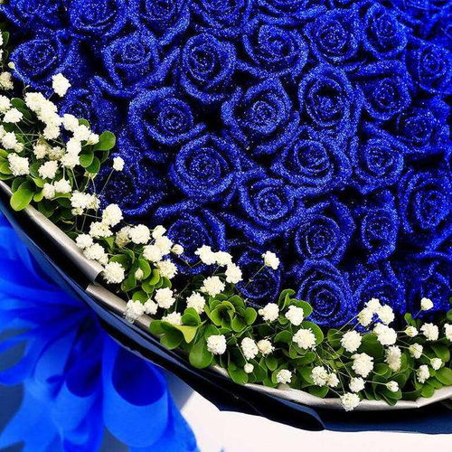 属马摩羯女如何吸引属蛇摩羯女的思维方式？