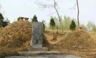 祖坟上长树对后人运势有影响吗？