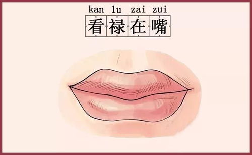 前瞻：探索面相奥秘以照亮人生道路