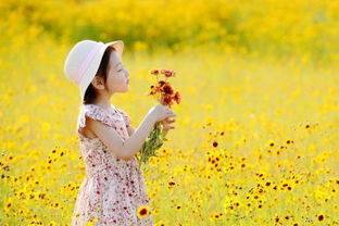 第二章：自然之美——花草树木皆有情