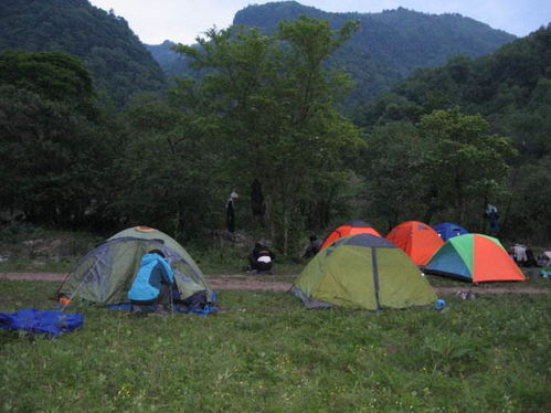 玩转高大峰的生肖风水觉得嫩列表版