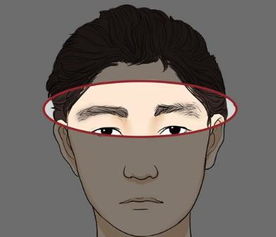 2. 家庭期望过高导致的防御性懒散