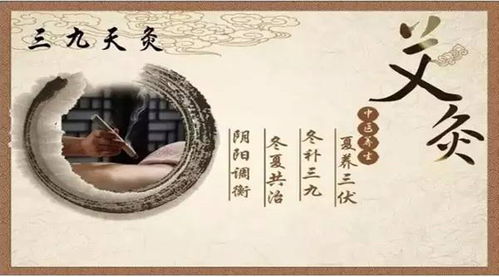 三、  辟谷与禅修的耦合效应：心灵净化的较深度旅程