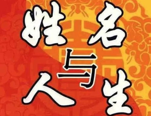 ,:结合实际案例分享起名心得与经验!