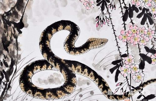 2026年属蛇的人婚姻运势如何，爱情和婚姻生活会顺利吗？