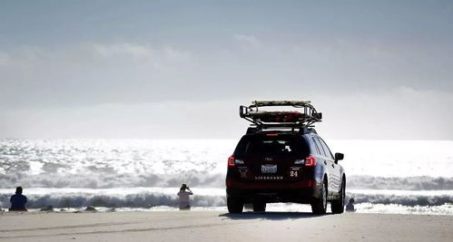 有没有梗省钱的方法？（并没有）