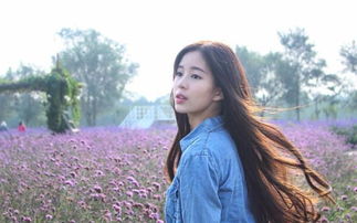 生肖属性对微信名称选择之学理探讨